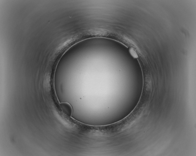 X0000111520538200907141510