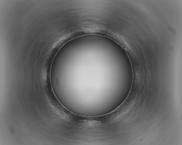 X0000111520539200907141510