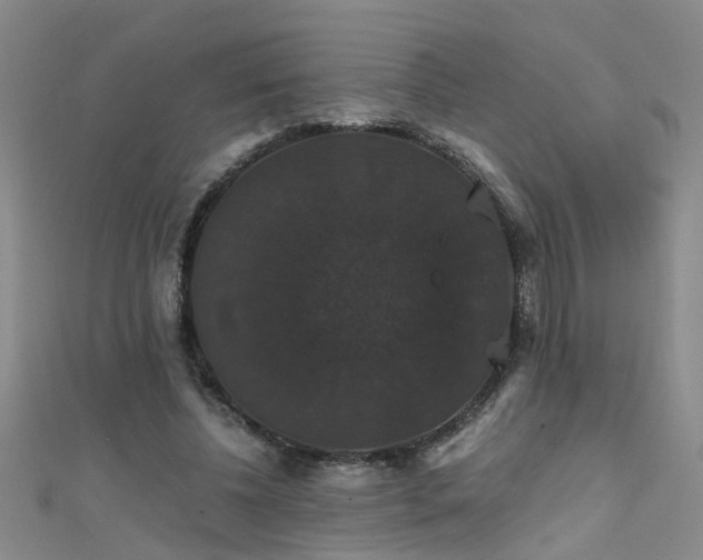 X0000111520540200907141510