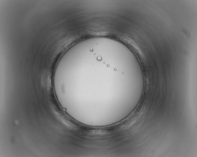 X0000111520541200907141510