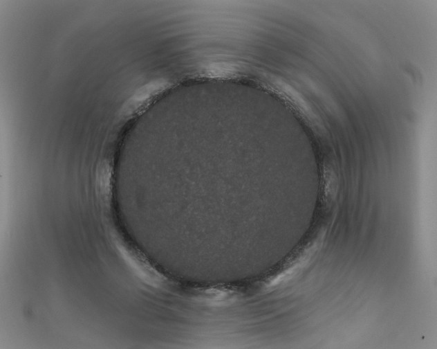 X0000111520542200907141510