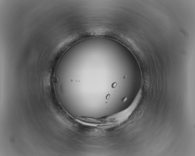 X0000111520543200907141510