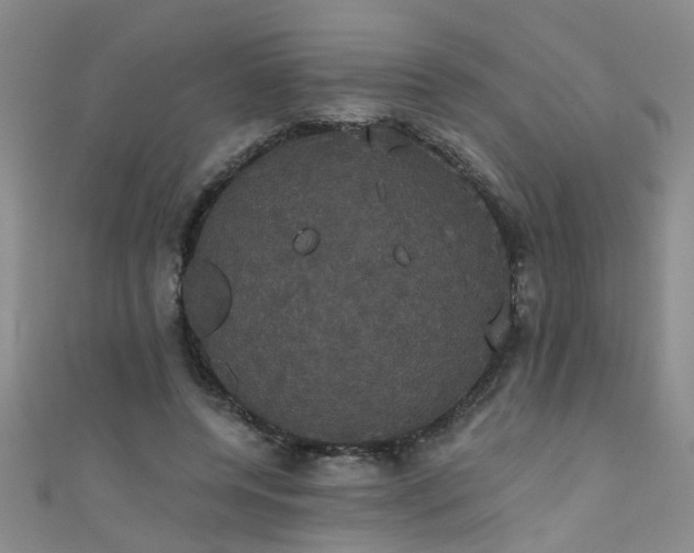 X0000111520544200907141510
