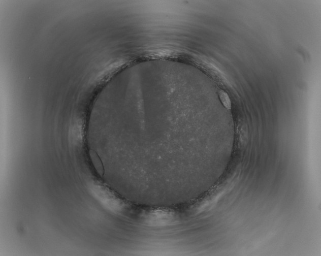 X0000111520546200907141510
