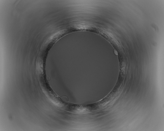 X0000111520547200907141510