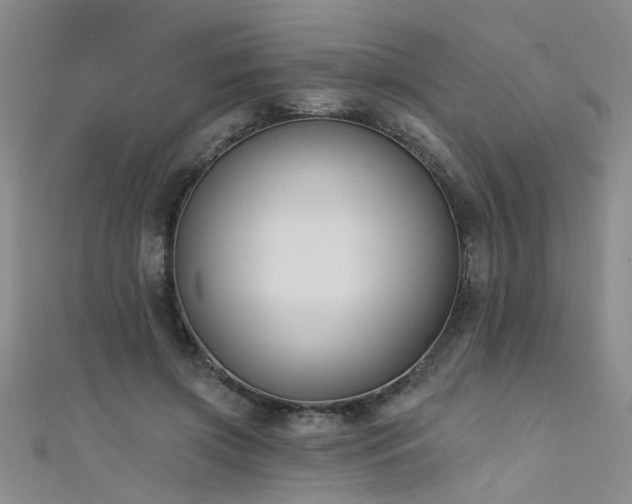X0000111520549200907141510