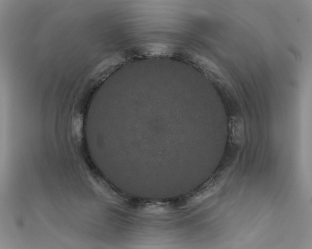 X0000111520550200907141510