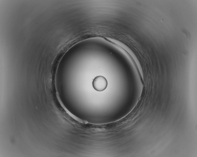 X0000111520552200907141510
