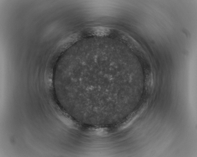 X0000111520553200907141510