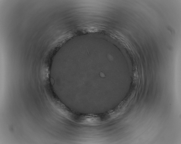 X0000111520555200907141510