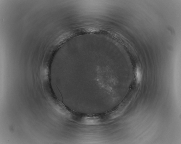 X0000111520556200907141510
