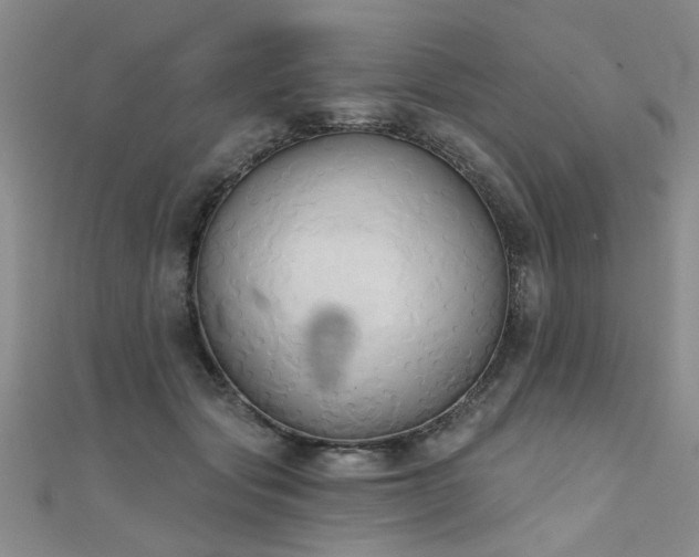 X0000111520557200907141510
