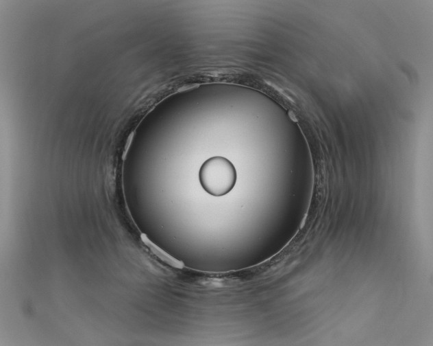 X0000111520558200907141510