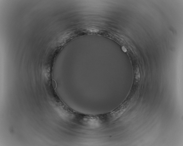 X0000111520559200907141510