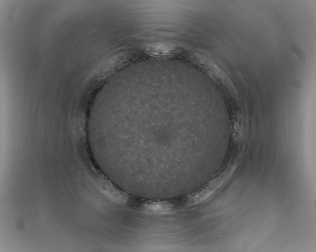 X0000111520561200907141510