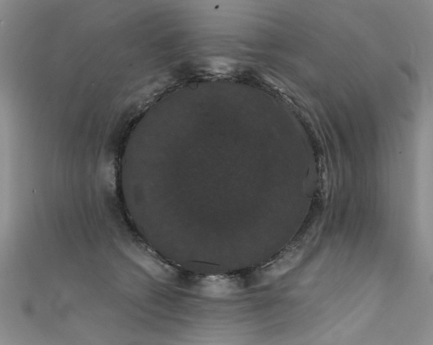 X0000111520562200907141510