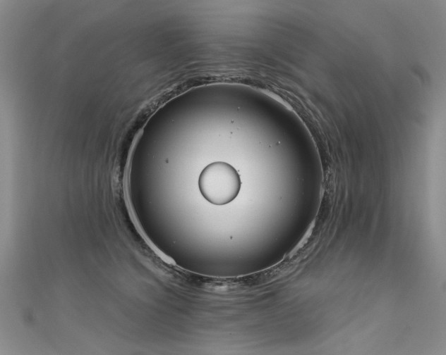 X0000111520564200907141510