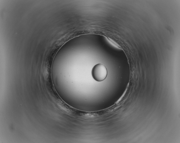 X0000111520566200907141510