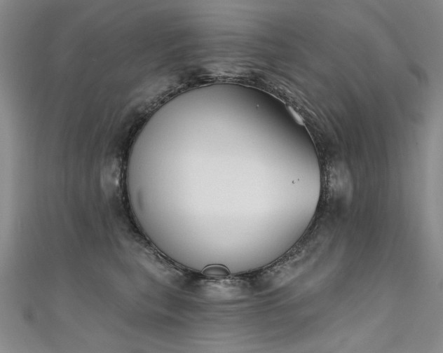 X0000111520567200907141510