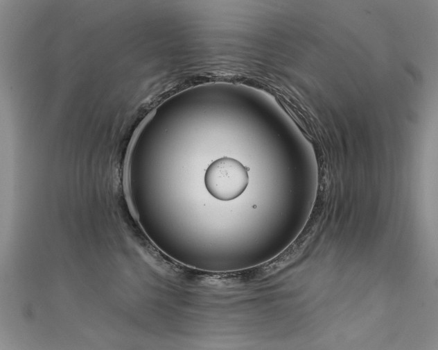 X0000111520568200907141510
