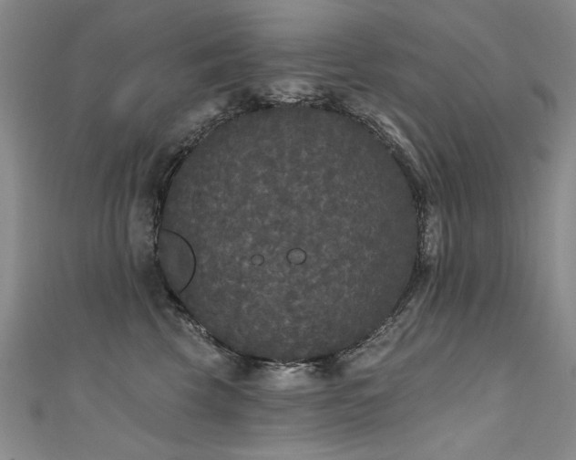 X0000111520569200907141510