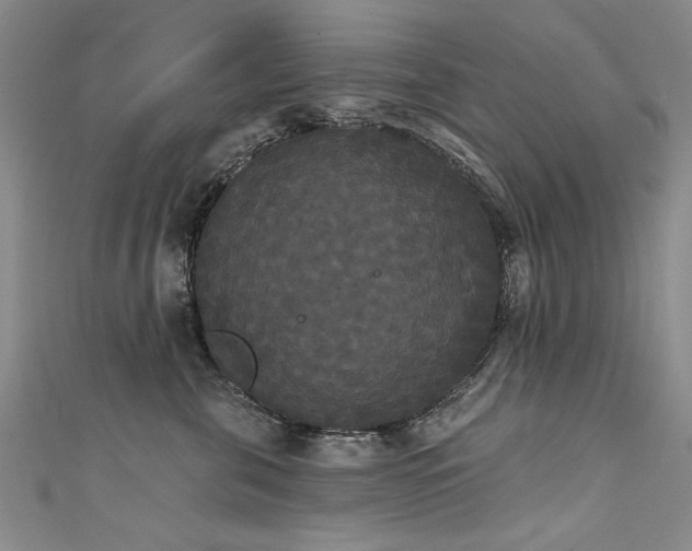 X0000111520571200907141510