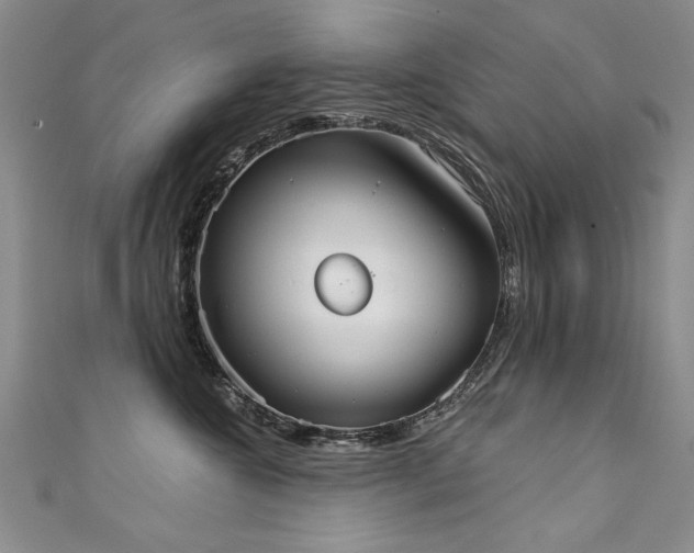 X0000111520572200907141510