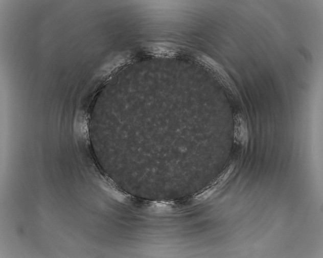 X0000111520573200907141510