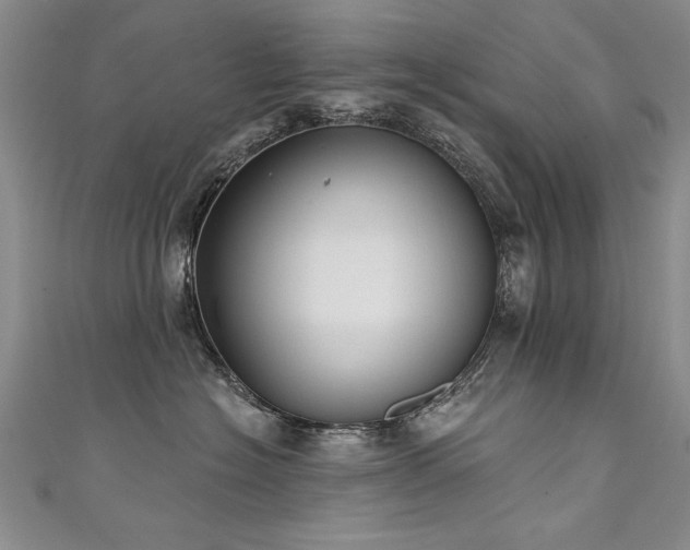 X0000111520574200907141510