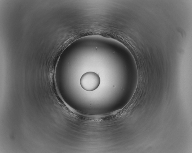 X0000111520576200907141510