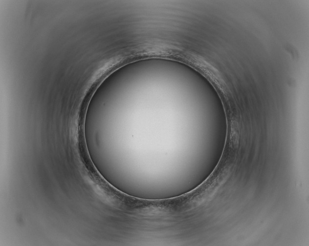 X0000111520578200907141510