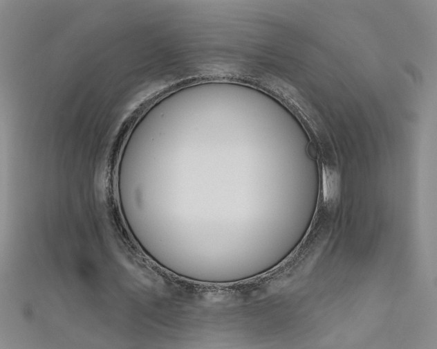 X0000111520579200907141510