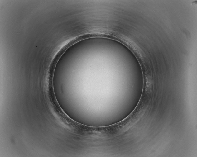 X0000111520580200907141510