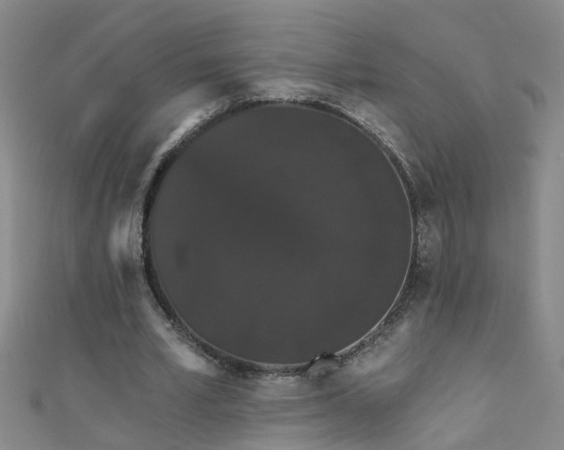 X0000111520581200907141510