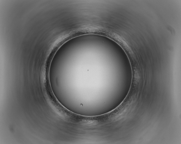 X0000111520582200907141510