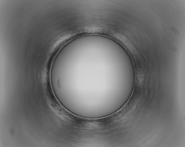 X0000111520583200907141510