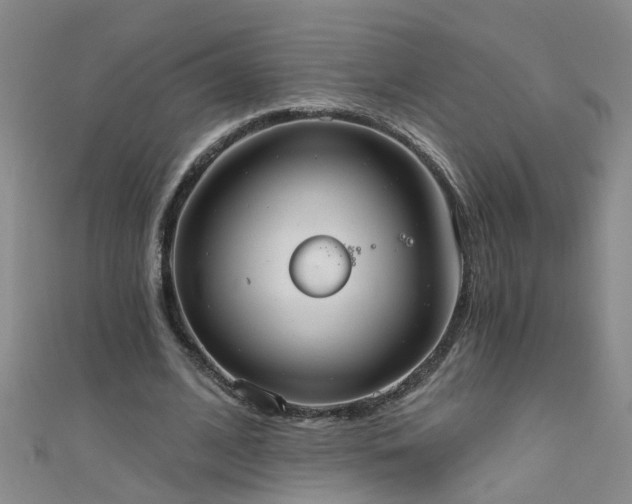 X0000111520584200907141510