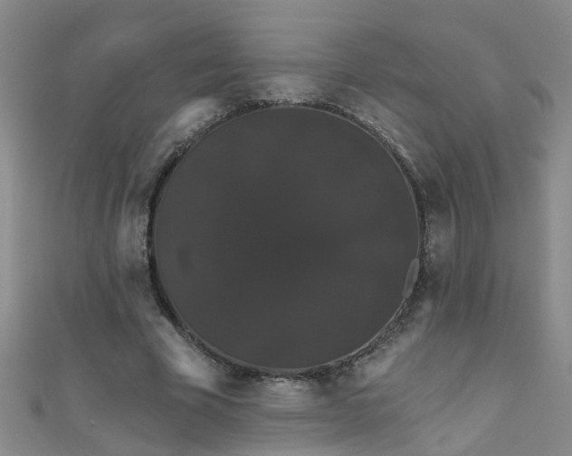 X0000111520585200907141509