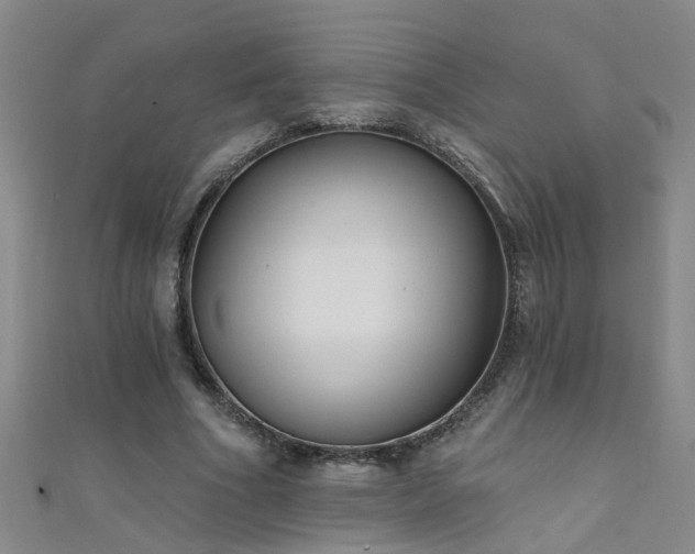 X0000111520586200907141509