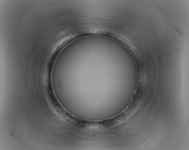 X0000111520587200907141509
