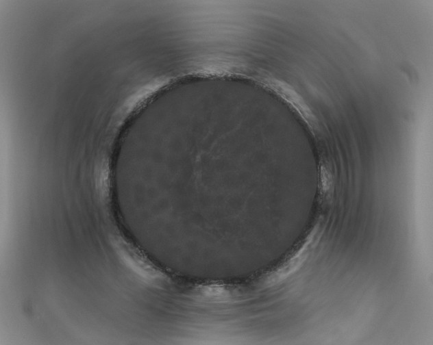 X0000111520588200907141509