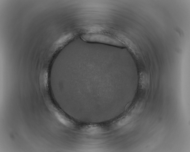 X0000111520589200907141509