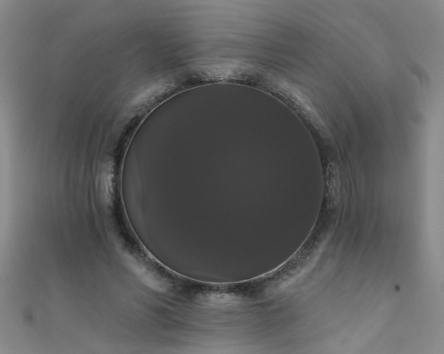 X0000111520590200907141509
