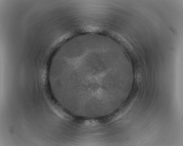 X0000111520591200907141509
