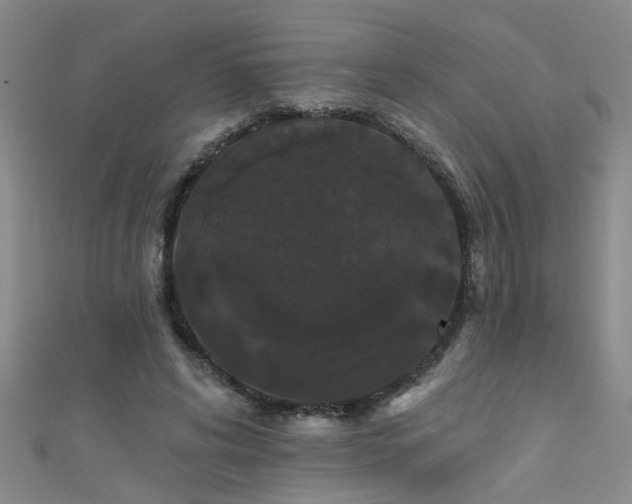 X0000111520592200907141509