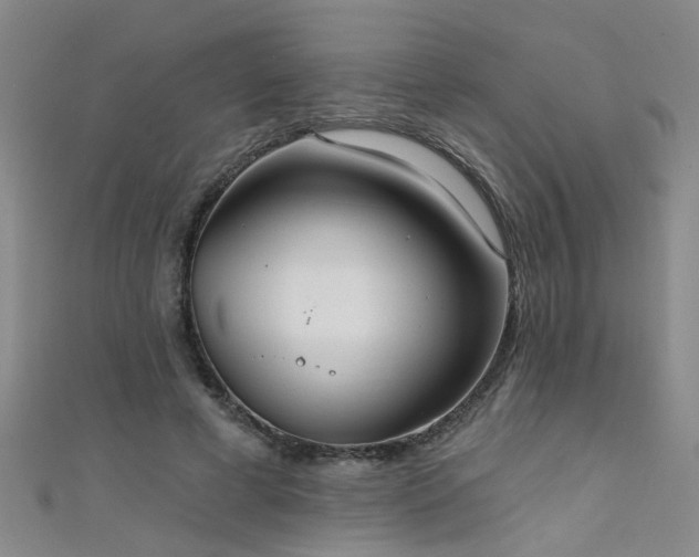 X0000111520593200907141509
