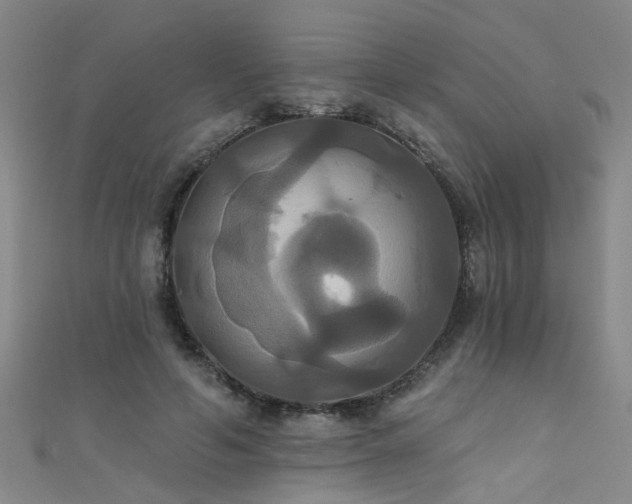 X0000111520594200907141509