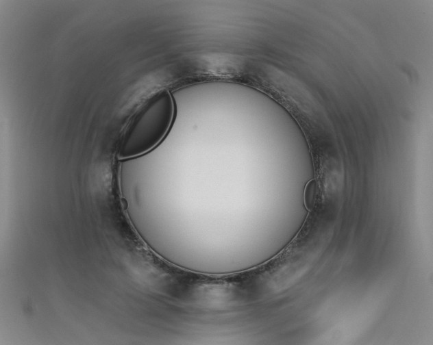 X0000111520595200907141509