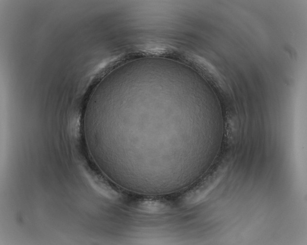 X0000111520596200907141509
