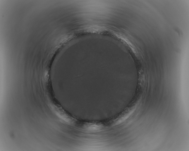 X0000111520597200907141509